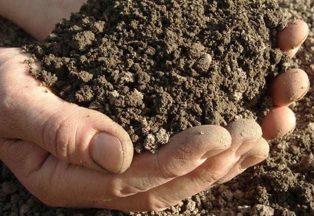 ดินสำหรับปลูก