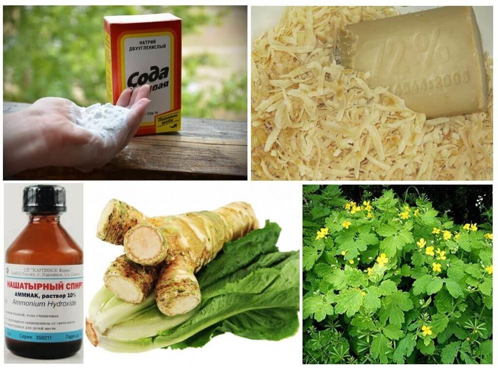 พีชช่วยด้วย