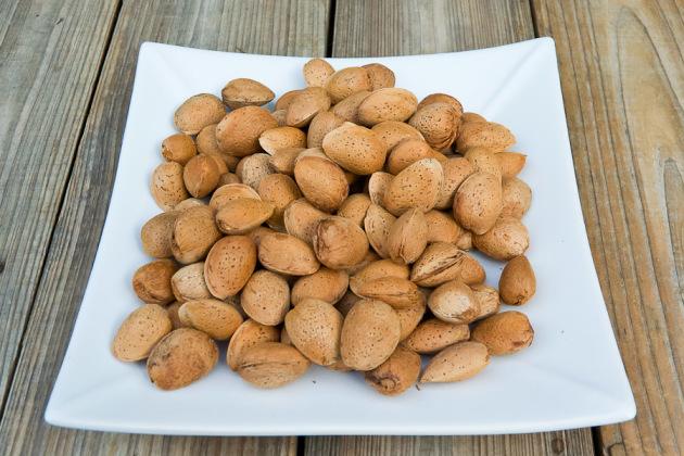 การขยายพันธุ์ด้วยเมล็ด