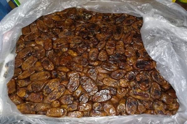 อินทผาลัมในถุง