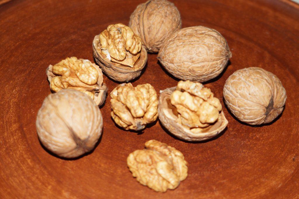 พันธุ์ทราย