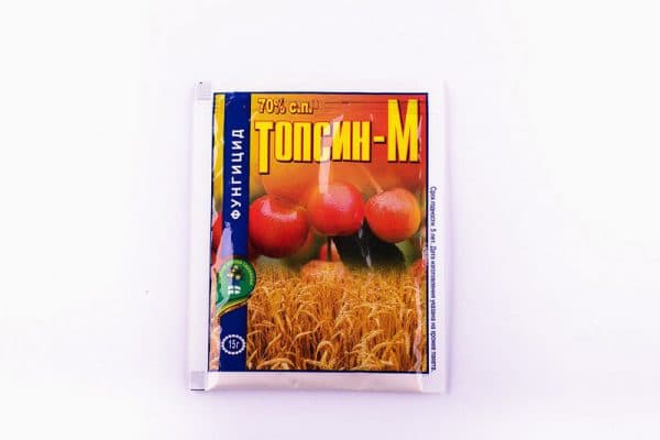 ท็อปซิน