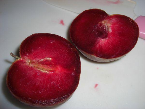 Description et règles de culture de la variété d'abricot Black Velvet