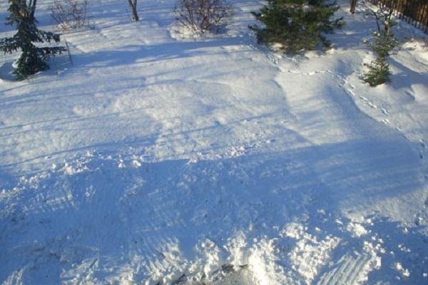 ปกคลุมไปด้วยหิมะ