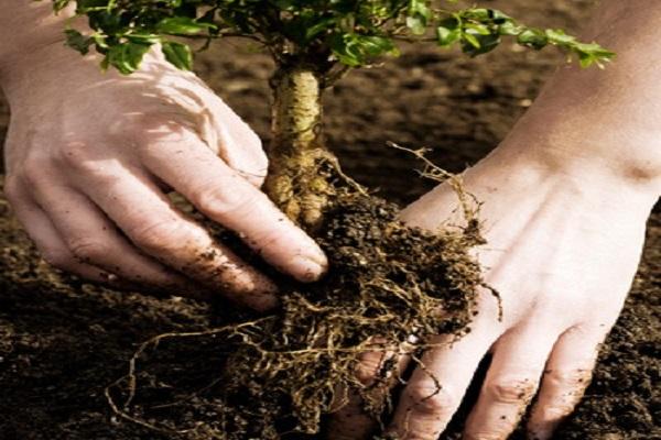 ความพอดีที่ถูกต้อง