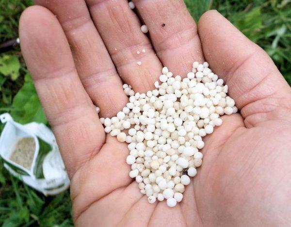 engrais granulé