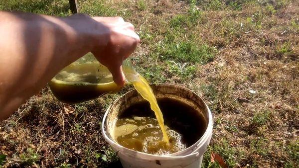 préparation de molène