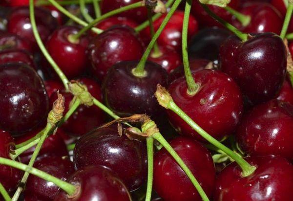 ผลเบอร์รี่สุก