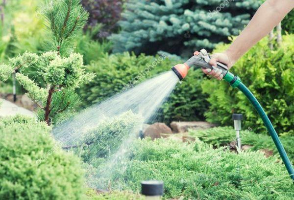 สายยางพร้อมหัวฉีด