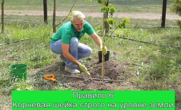 กฎการลงจอด