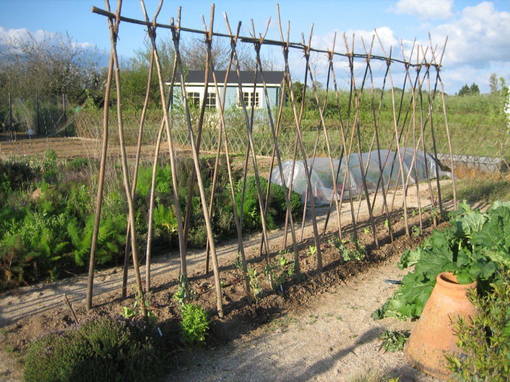 DIY โครงตาข่าย