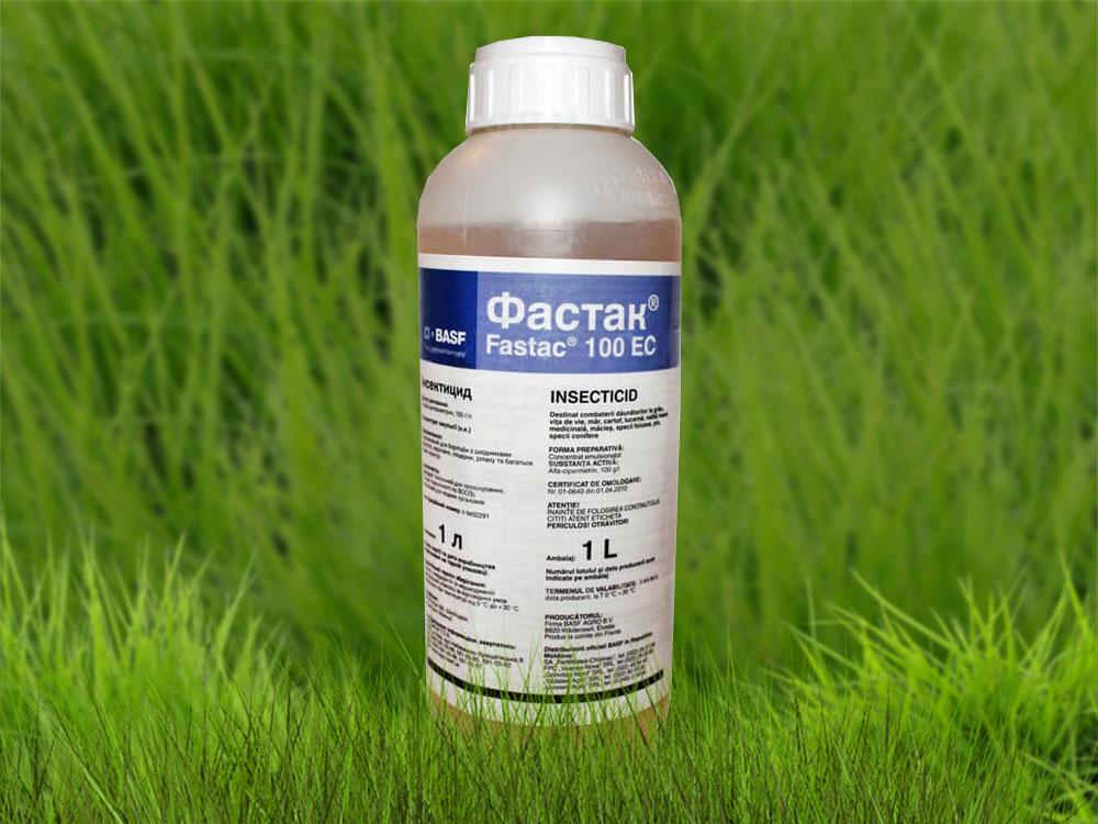 ฟาสแท็ก