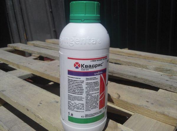 สารฆ่าเชื้อรา Quadris