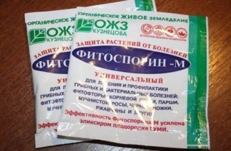 ยาไฟโตสไพริน