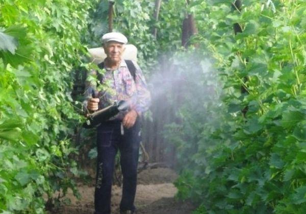 ต่อสู้กับโรคภัยไข้เจ็บ