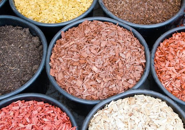 paillage des raisins