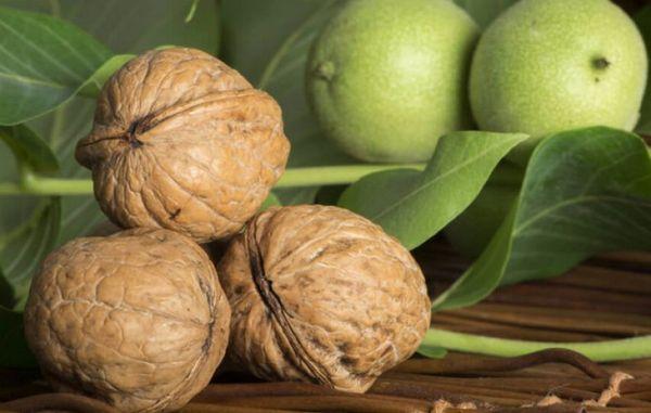 สกินอส นัท