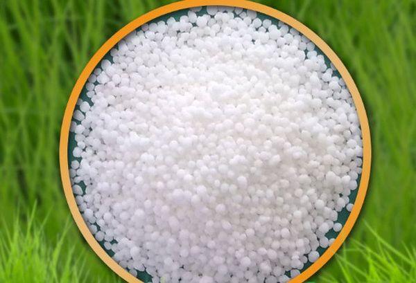 แอมโมเนียมไนเตรต