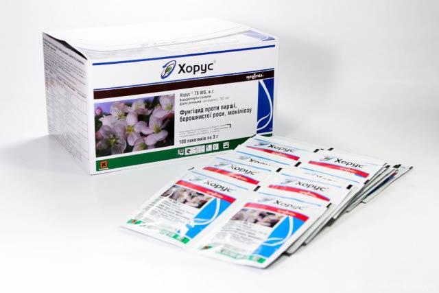 การป้องกันโรค