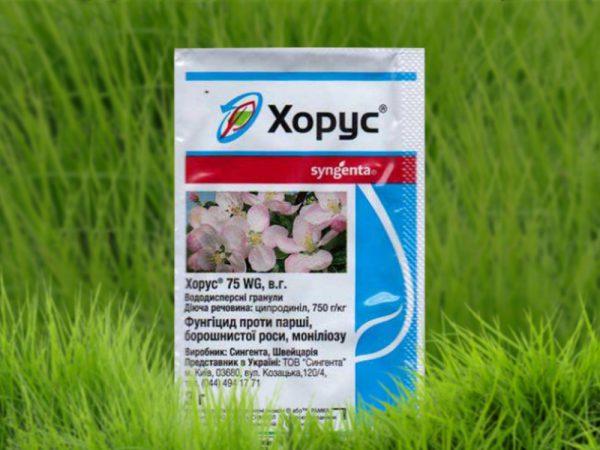 นักร้องประสานเสียง