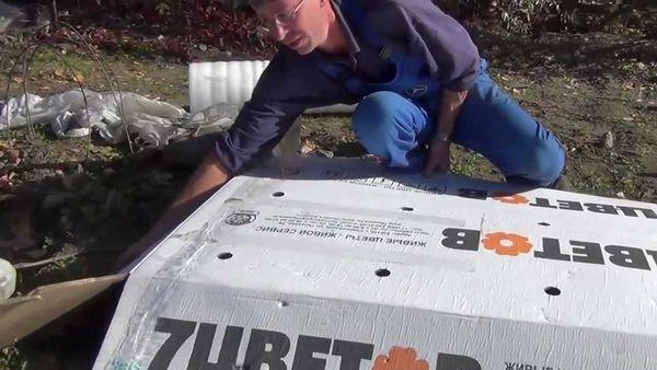 องุ่นใต้กล่อง