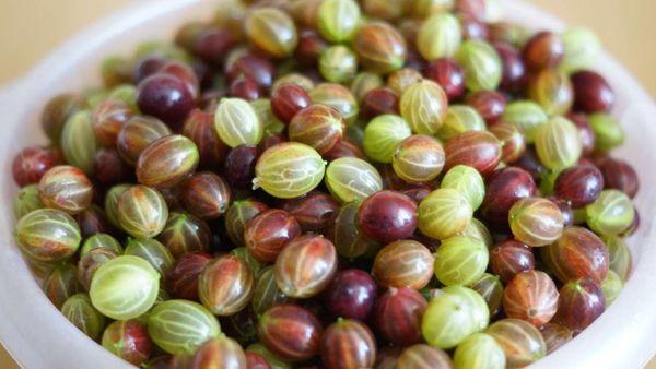 ลูกเกดสุก