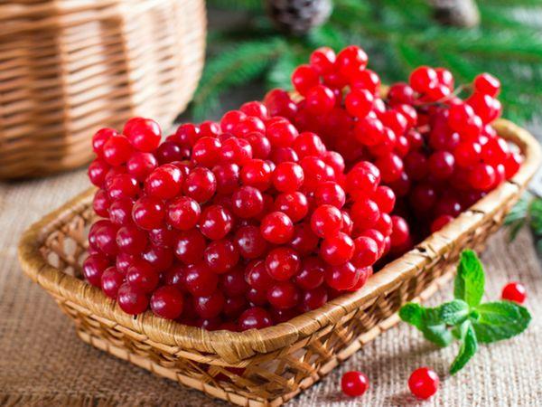 การรักษาด้วยวิเบอร์นัม