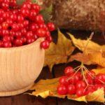 ไวเบอร์นัมสีแดง