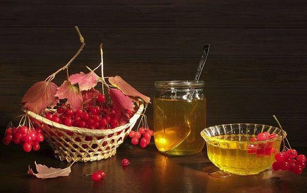 ไวเบอร์นัมที่ใช้ทางการแพทย์