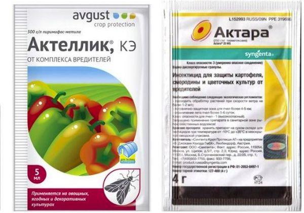 อัคทารา, อัคเทลลิก.