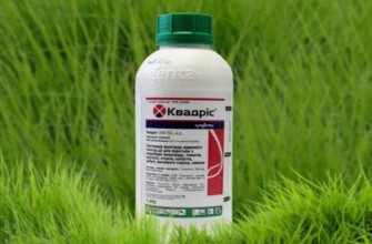 ควาดริส