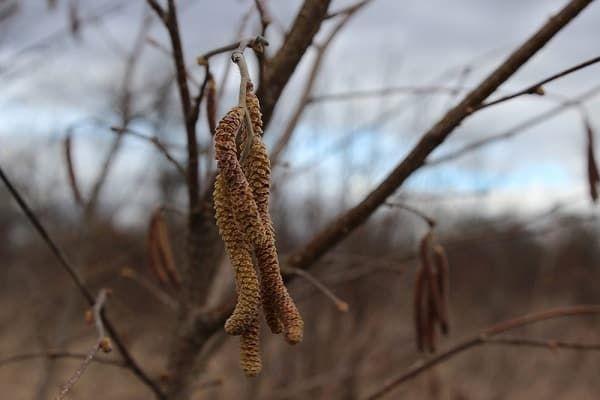 การเตรียมตัวรับมือฤดูหนาว
