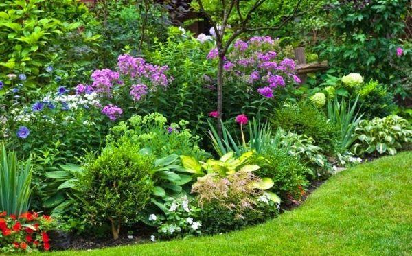 พุ่มไม้และแปลงดอกไม้