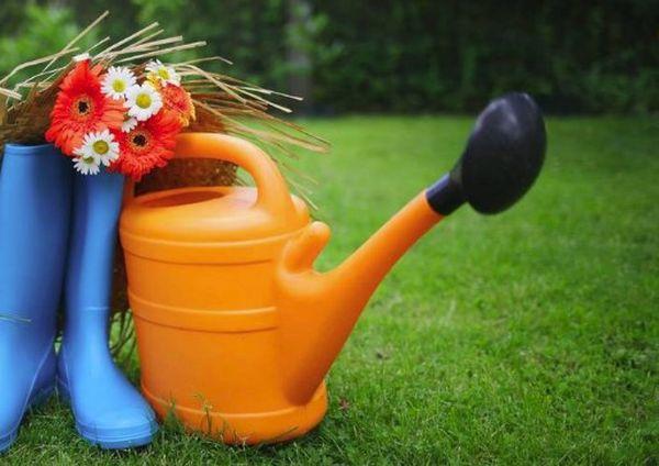 รองเท้าบูทและบัวรดน้ำ