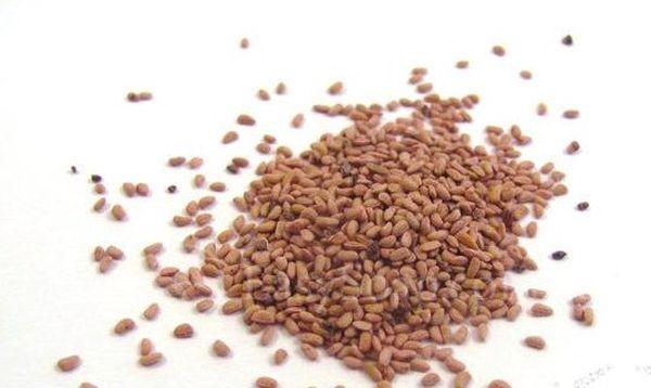 เมล็ดราสเบอร์รี่