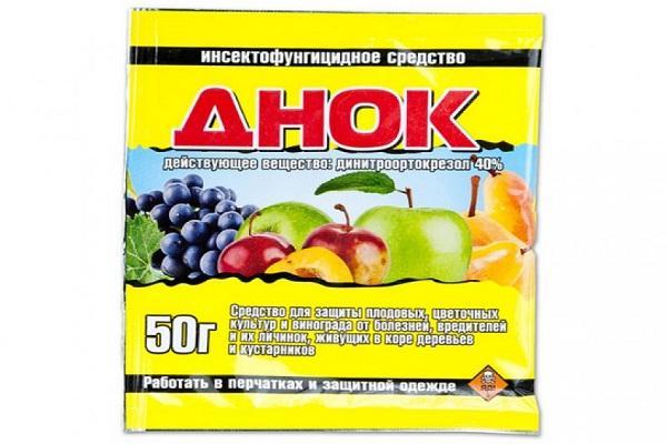 การควบคุมเพลี้ยอ่อน