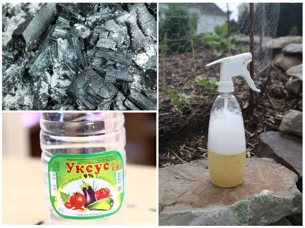 การพ่นยาพื้นบ้าน