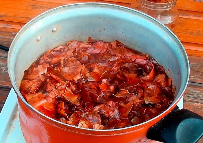 การพ่นองุ่นด้วยยาพื้นบ้าน