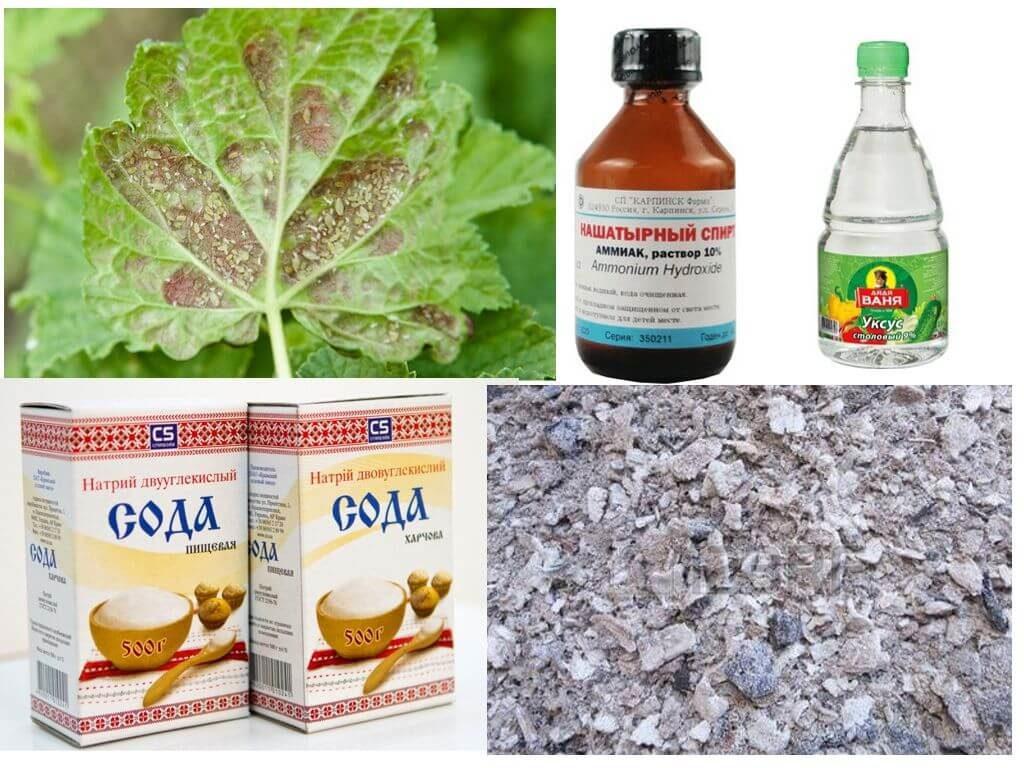 การรักษาด้วยการเยียวยาพื้นบ้าน