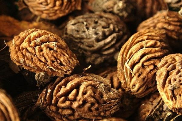 เมล็ดพีช