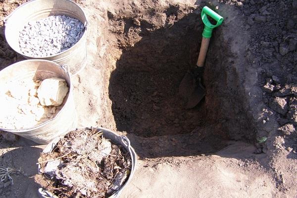 การเตรียมหลุม