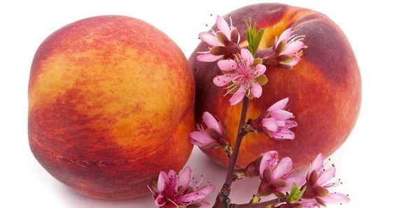 ผลไม้สุก