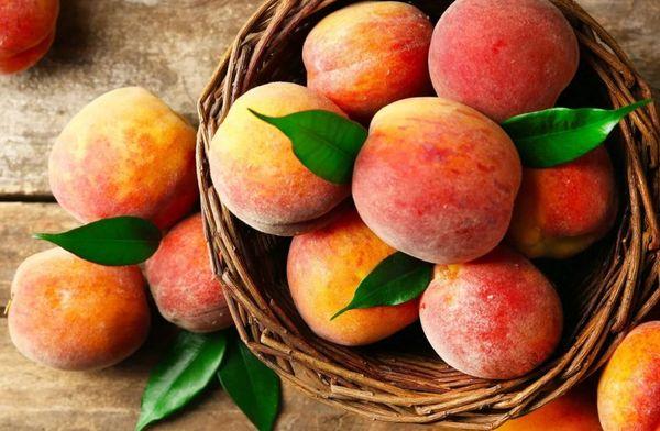 ชามผลไม้