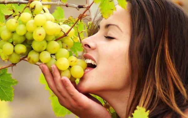 การใช้องุ่น