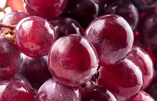 องุ่นแดง