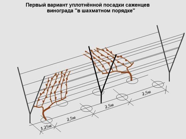 ประเภทของการลงจอด