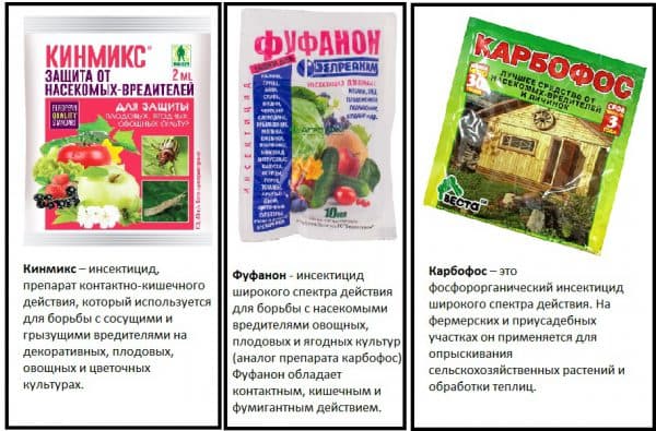 การป้องกันจากแมลง