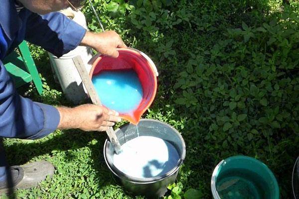 การทาสีขาว