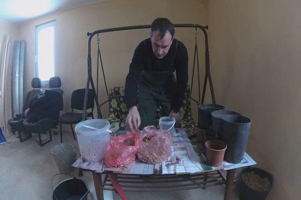 กระบวนการแบ่งชั้น