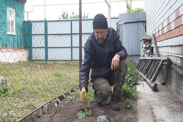 ผู้ชายสวมหมวก